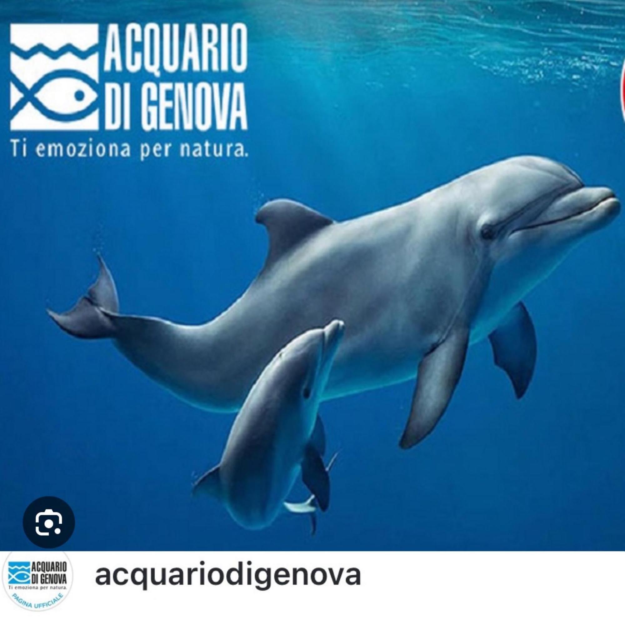 Вілла Casa Mia Sea&Center Больяско Екстер'єр фото